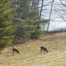 Frozen toes in Maine make a welcome change from California's rains