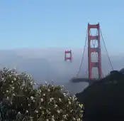 When the fog lifts, San Francisco has a case to make.