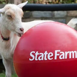 State Farm will separate sheep and goats with new RIA play but is it still a commission wolf in sheep's clothing?